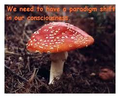 Famous quotes about &#39;Mushroom&#39; - QuotationOf . COM via Relatably.com