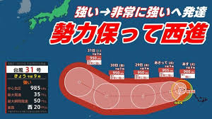 台風 情報 31 号