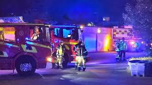 SVT Nyheter - News update