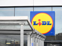 La planta ideal de Lidl que dará un toque verde a tu terraza y florece año tras año