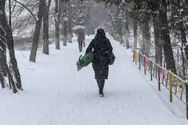 Кубанские новости - News update