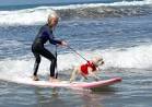 Surfing Dogs at San Diego Beach! -