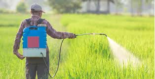 roundup will kill you and it's on all the wheat
                    you eat, unless you eat organic wheat.