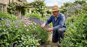 En mai, plantez ces 5 vivaces résistantes à la chaleur : les oublier, c’est condamner votre jardin à un été sans fleurs