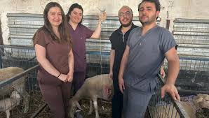 Sağlık Aktüel - News update