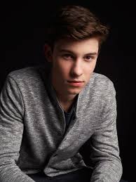 Image result for shawn mendes 2015