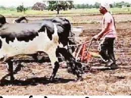 હવામાન વિભાગની આગાહી: 15 જૂન પછી રાજ્યમાં ચોમાસુ વરસાદ સંપૂર્ણપણે સક્રિય થશે