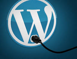 website design