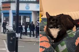 dr katherine theodotou rspca lawsuit