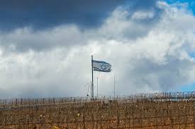 The Times of Israel - News update