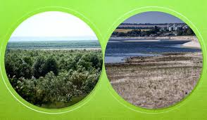 каховское водохранилище