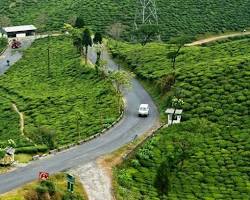 Image of Mirik Trekking