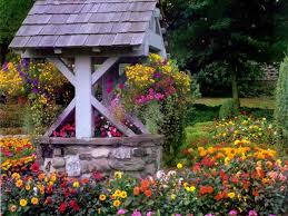 R�sultat de recherche d'images pour "FLEUR GRATUIT"