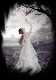 Résultat de recherche d'images pour "images animées"