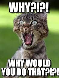 Image result for WHY meme