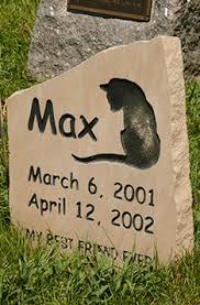 Hasil gambar untuk cemetery for pets