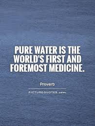 Pure water is the world&#39;s first and foremost medicine via Relatably.com