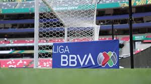 Tigres Vs. Puebla
