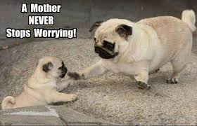 Image result for Im fine meme