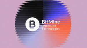 Bitmine to launch STRC-style preferred stock offering amid $9.2 billion unrealized ETH losses