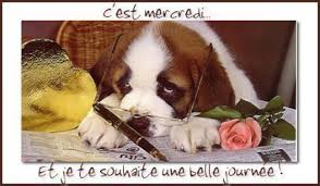 Résultat de recherche d'images pour "images c'est mercredi"