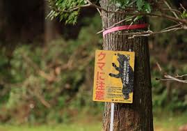 News source: Yahoo!ニュース