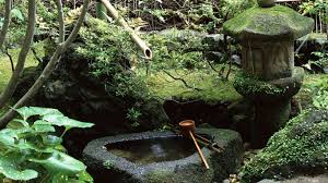 R&eacute;sultat de recherche d'images pour 