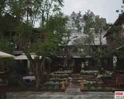 Tiệm Cà Phê Bình Minh Ơi Đà Lạt