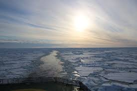 Hidden Icefish City Discovered Beneath Antarctica’s Melting Ice