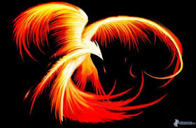 Resultado de imagen de pajaro de fuego