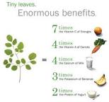 Image result for Moringa