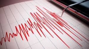 Sismo de magnitud 3.6 sacude las cercanías de Puerto Escondido, Oaxaca
