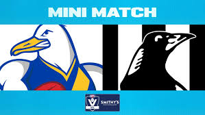 afl.com.au - News update