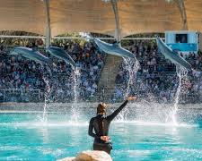 Sea World Gold Coast的圖片