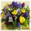 Florist Bolton Diddy Box Flowers Bolton