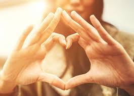 Résultat de recherche d'images pour