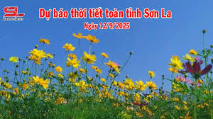 Báo Sơn La - News update