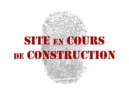 Résultat de recherche d'images pour "gif en construction webmaster"