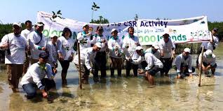 Hasil gambar untuk pecinta alam indonesia