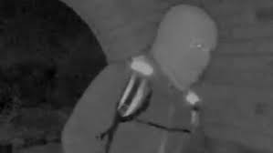 FBI Video Recovery Timeline