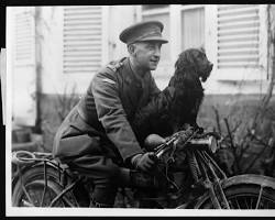 Stunter, the clever mascot of the Tank Corps who, owing to his experience gained by riding about in Tanks, can balance himself on the bars of a motorbicycle Tank Corp's mascot, 'Stunter', and his officer, France, during World War I.