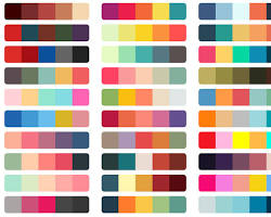 Hình ảnh về color palette