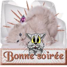 Résultat de recherche d'images pour "gifs bonsoir dentelle de lune"