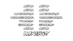 تواصل نيوز - News update