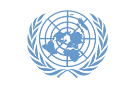 Image result for un logo