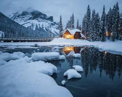 Canadian Rockies in winterの画像