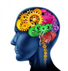 Image result for brain