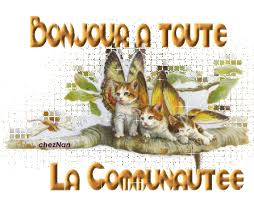 images?q=tbn:ANd9GcSmsLa6GhSsIuXHZXOpM1fiLOs8zyp_jDeWHn0pLtEbjPpTktm_