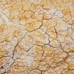 Cape Town water woes: What's