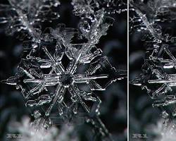 雪の結晶の核の画像